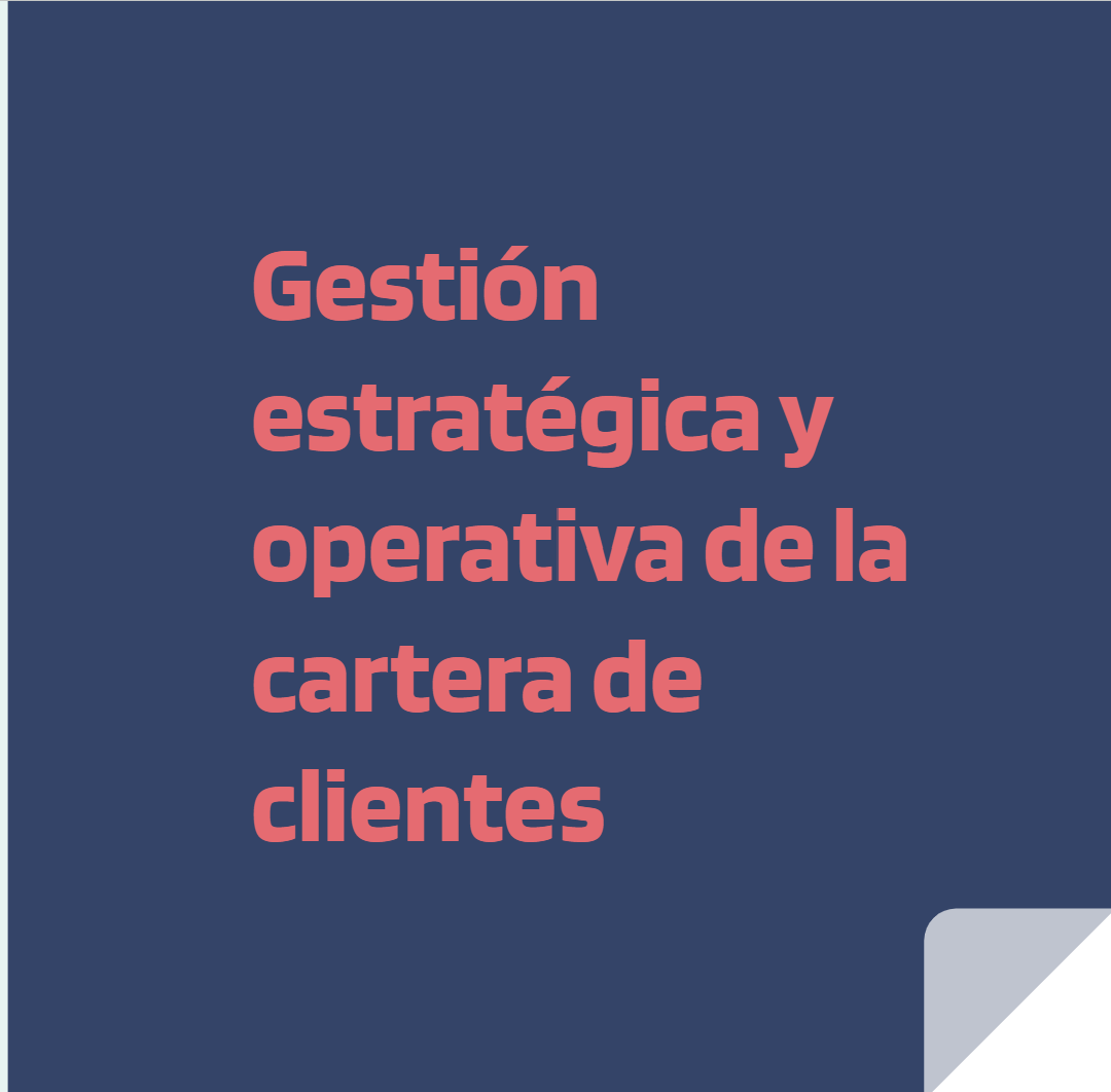 Gestión estratégica y operativa de la cartera de clientes